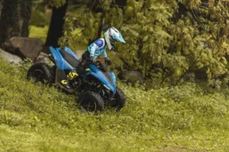 CFORCE 110