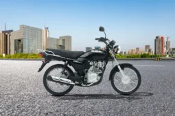 Suzuki GD 110