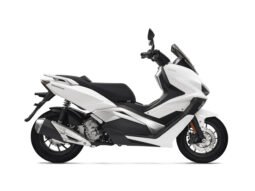 Vieste 300